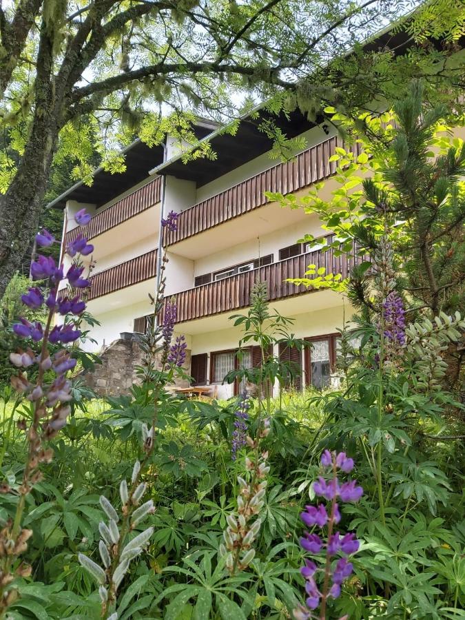 Korlape Apartman 4.2 Вольфсберг Экстерьер фото